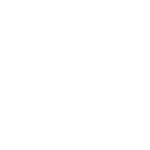 ico1