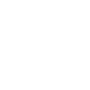 ico2