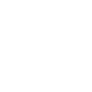 ico3