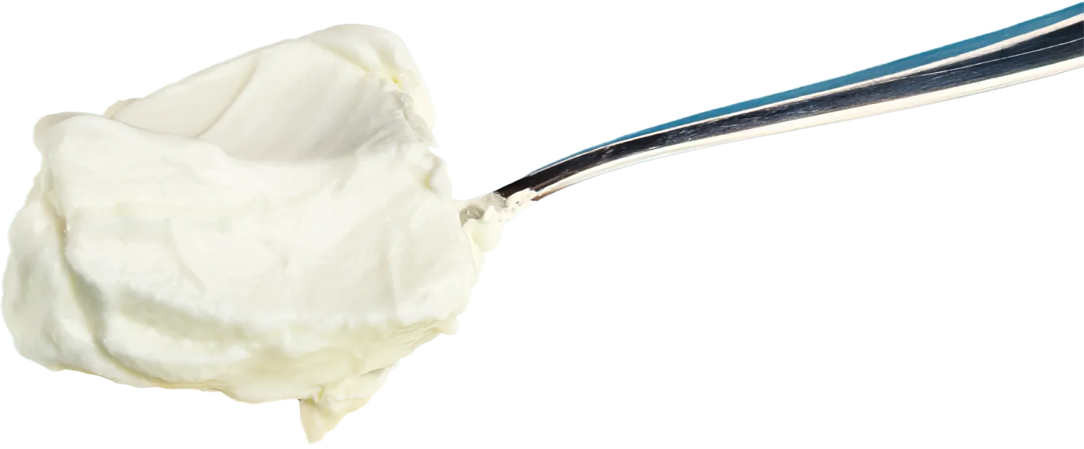 spoon1